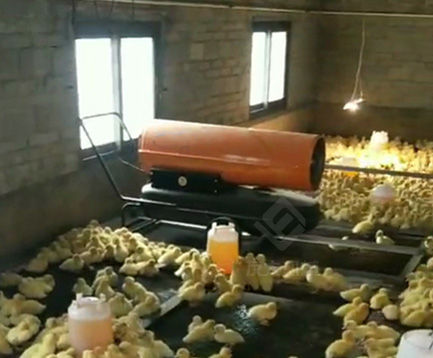 廣東湛江養(yǎng)殖場張經(jīng)理反饋燃油暖風(fēng)機(jī)使用情況